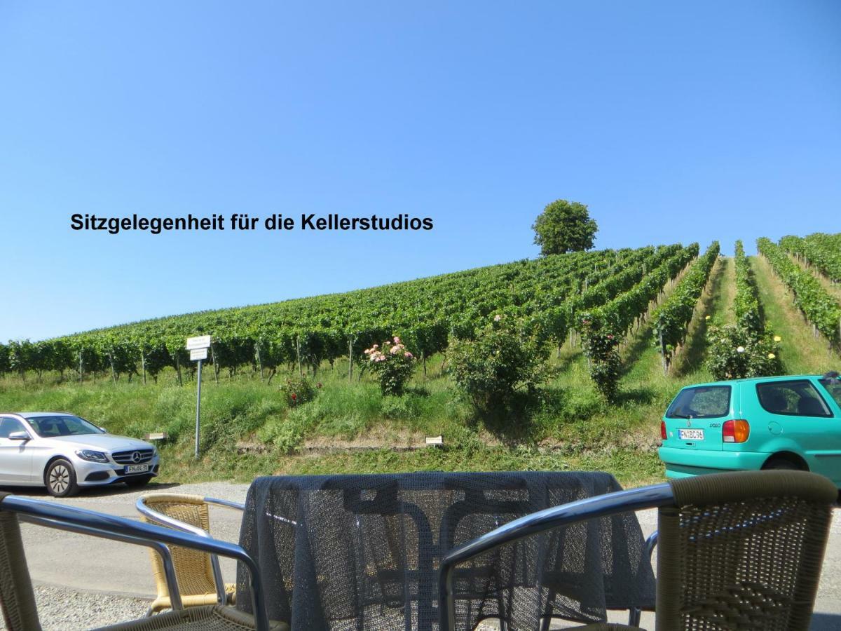 Gaestehaus Sommertal Mit Pool Im Garten, Eigener Parkplatz, 800M Zum Bodensee, 300M Zur Altstadt Meersburg Zewnętrze zdjęcie